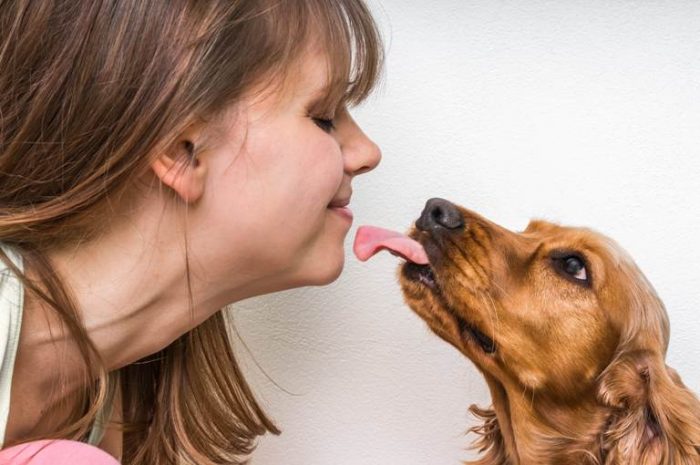 Dogs lick your face