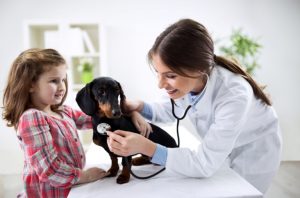 Dog Vaccinations Schedule You Should Follow