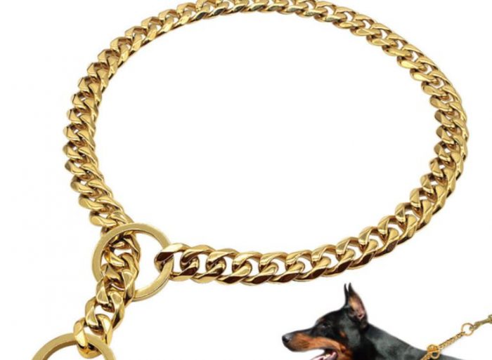 choke chain style collar
