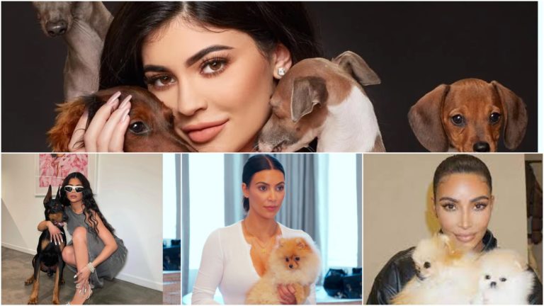 Kardashian-Jenner Pets