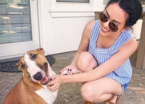 Chronicling Nikki Phillippi’s Dog Saga – Why The YouTuber Put Down Her Dog