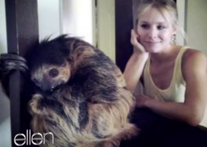 Chronicling Kristen Bell Sloth Saga