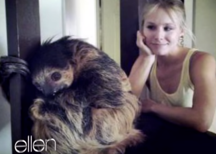 Kristen Bell Sloth